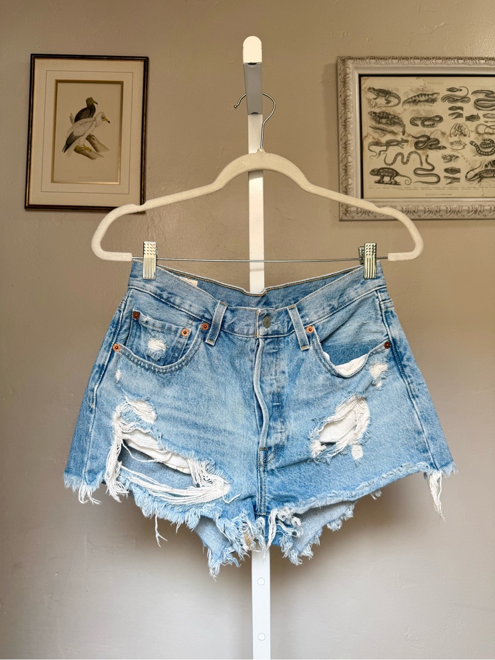 Levi's Light Blue Distressed High-Rise 501 Denim Shorts 100% Cotton Size 28